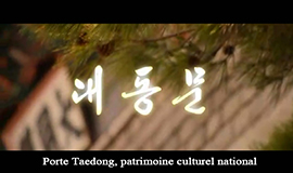 Porte Taedong, patrimoine culturel national