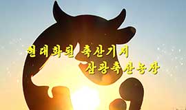 近代化された畜産拠点である三光畜産農場