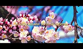 В окружении теплой заботы